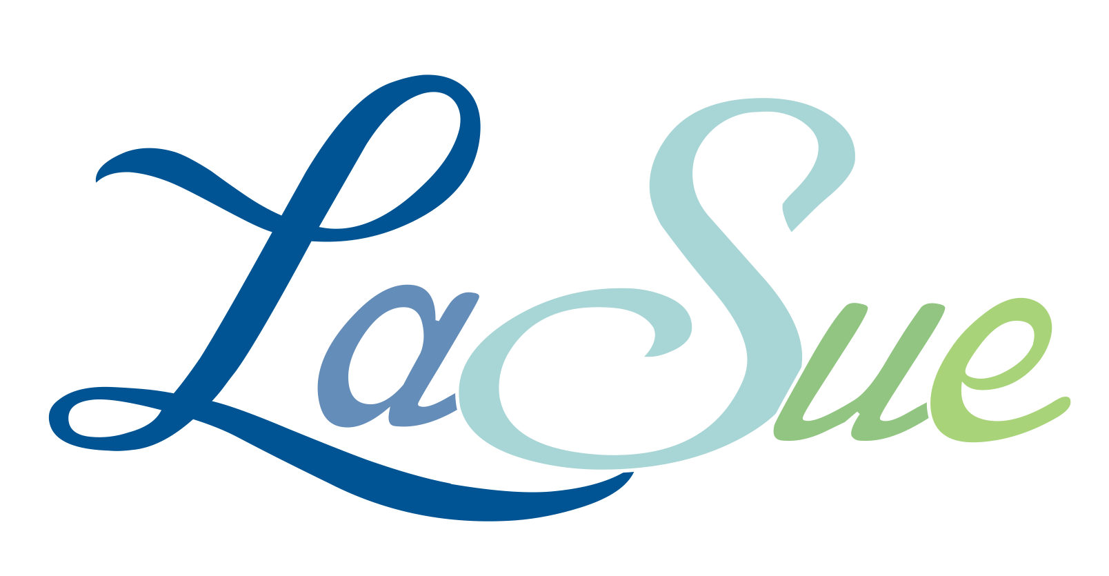 Netzwerkagentur/ Werbeagentur LaSue Webdesign Internetseite Print Werbung Damme Osnabrück Lohne Vechta Bersenbrück Belm